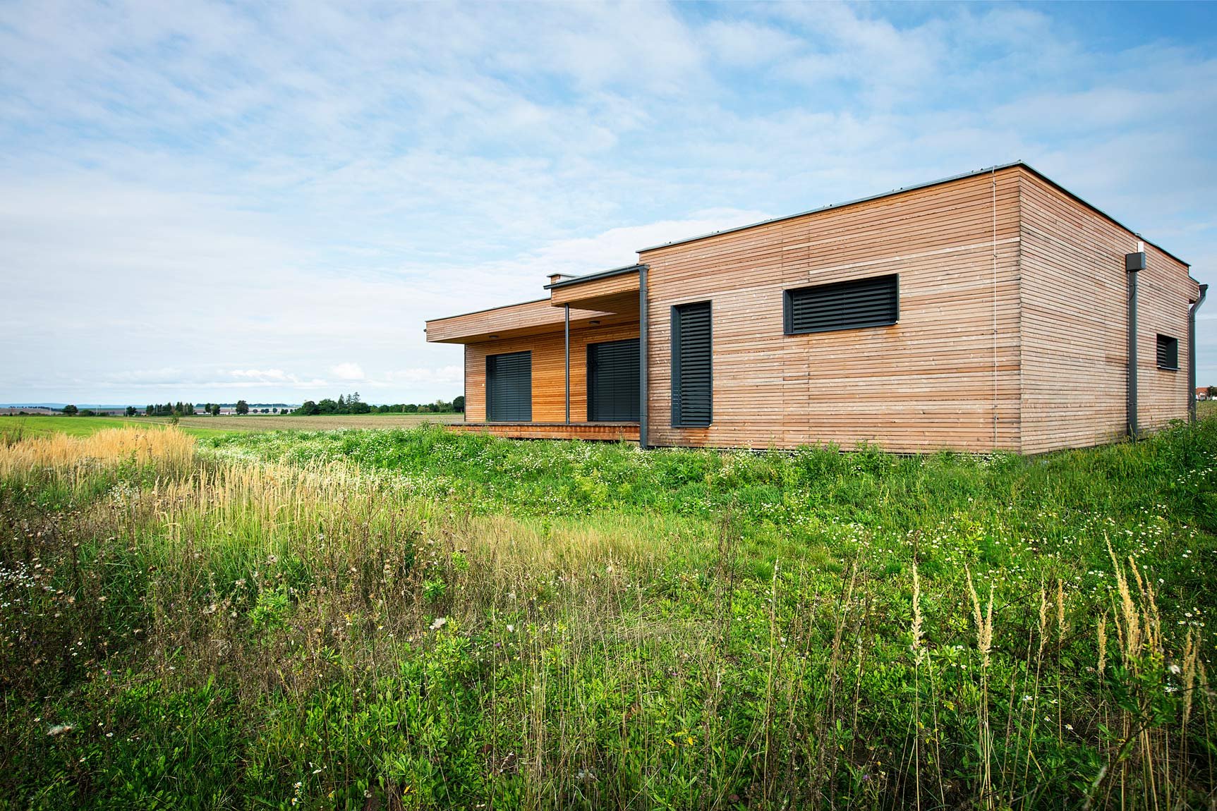 Referenční fotka 4