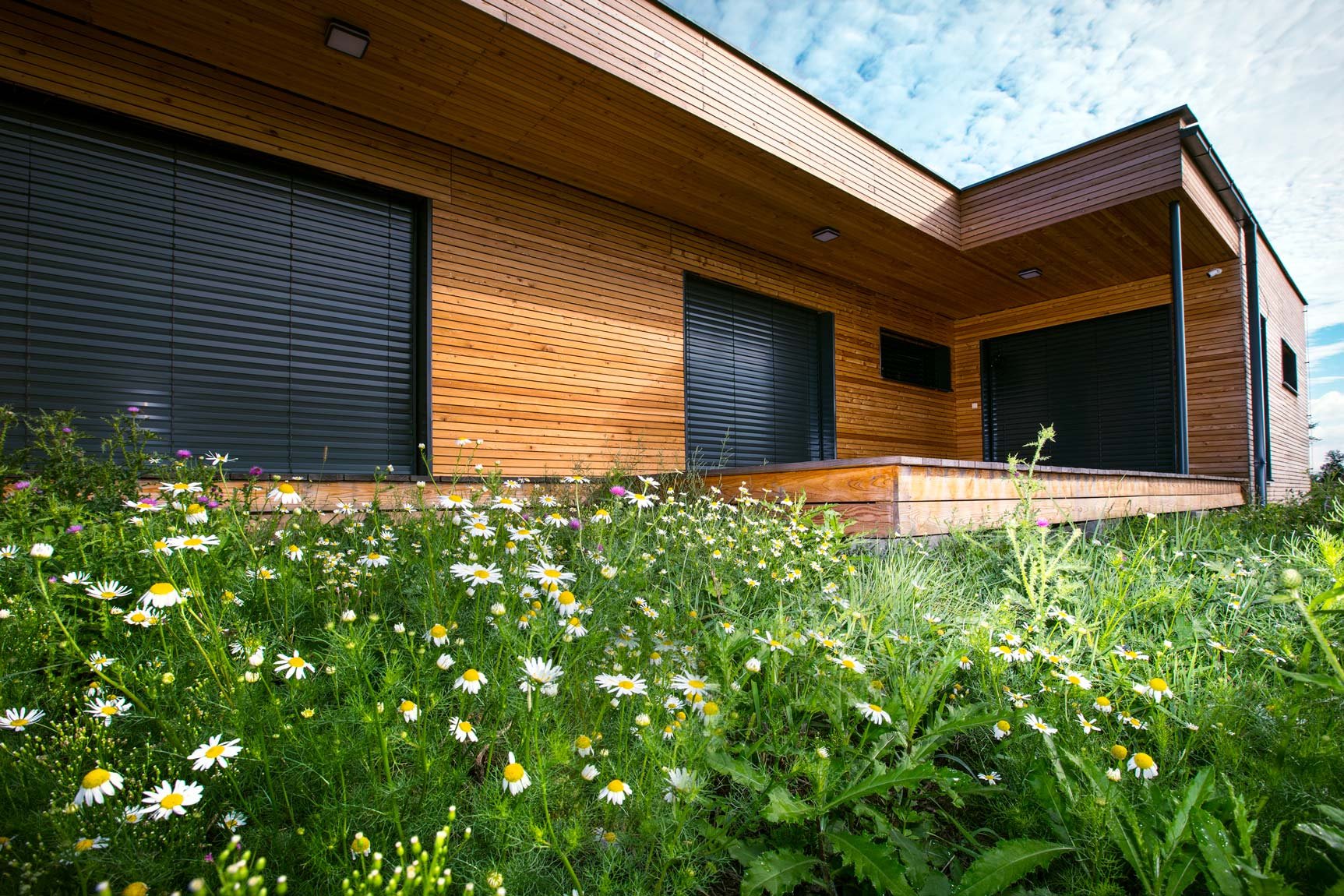 Referenční fotka 1