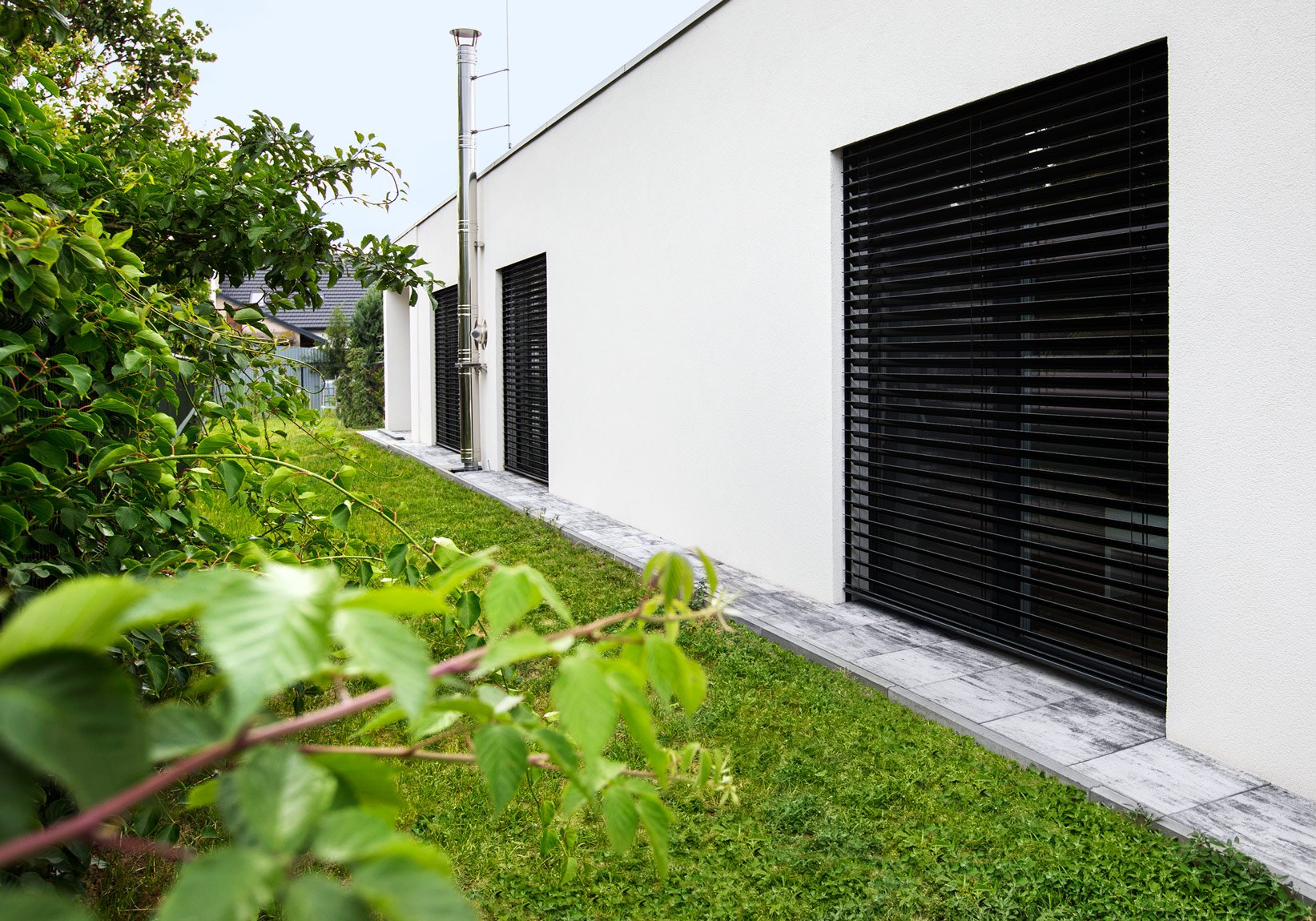 Referenční fotka 1