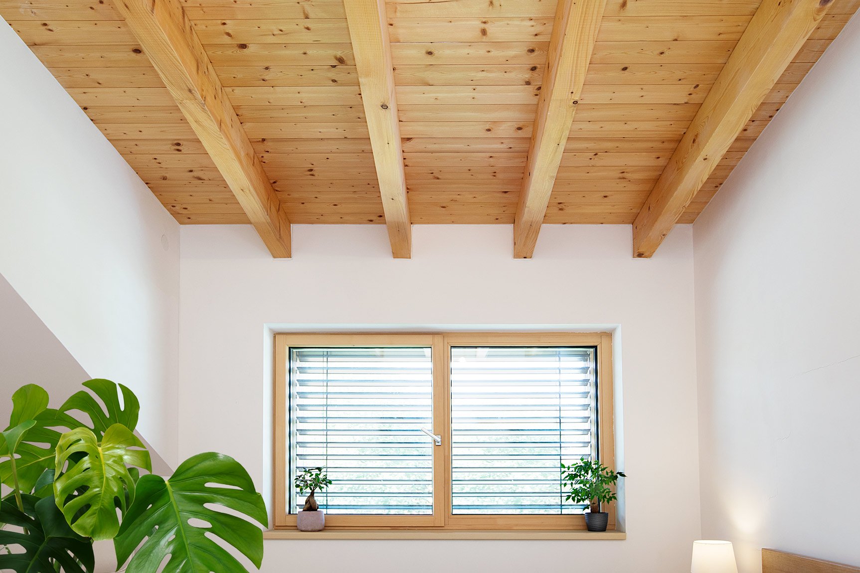 Referenční fotka 5