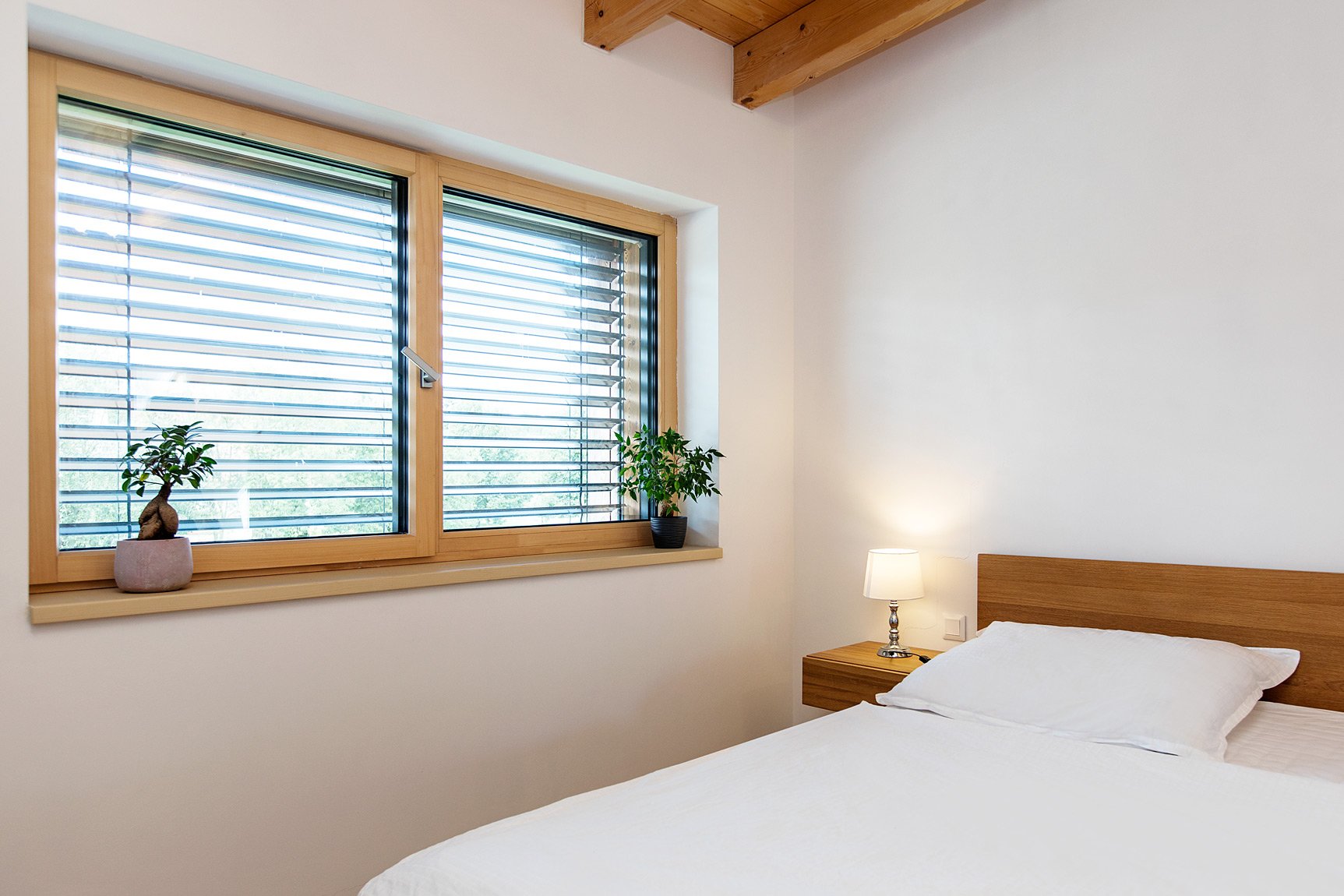 Referenční fotka 7