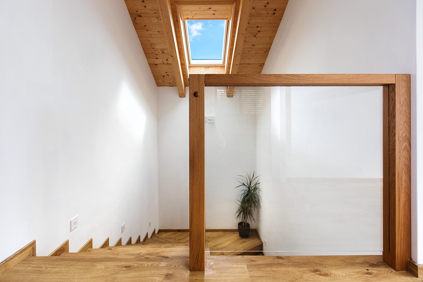 Referenční fotka 3