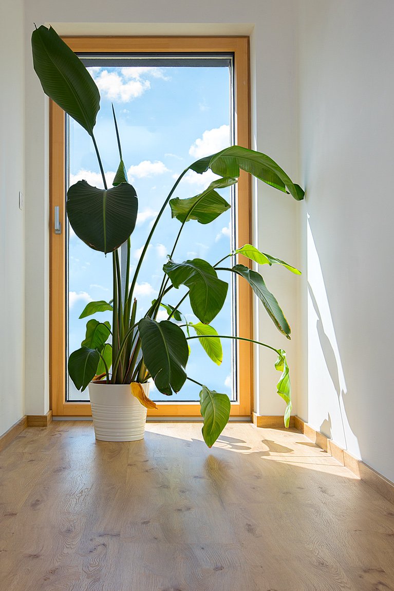 Referenční fotka 13