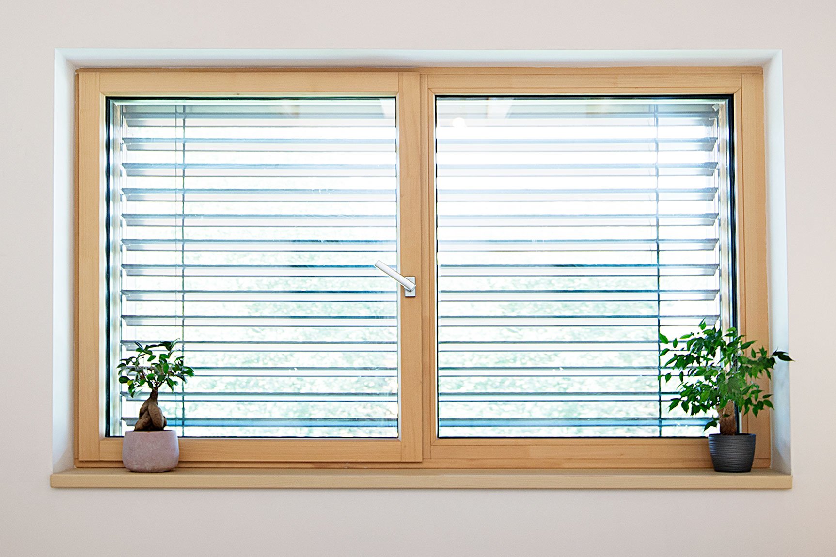 Referenční fotka 14