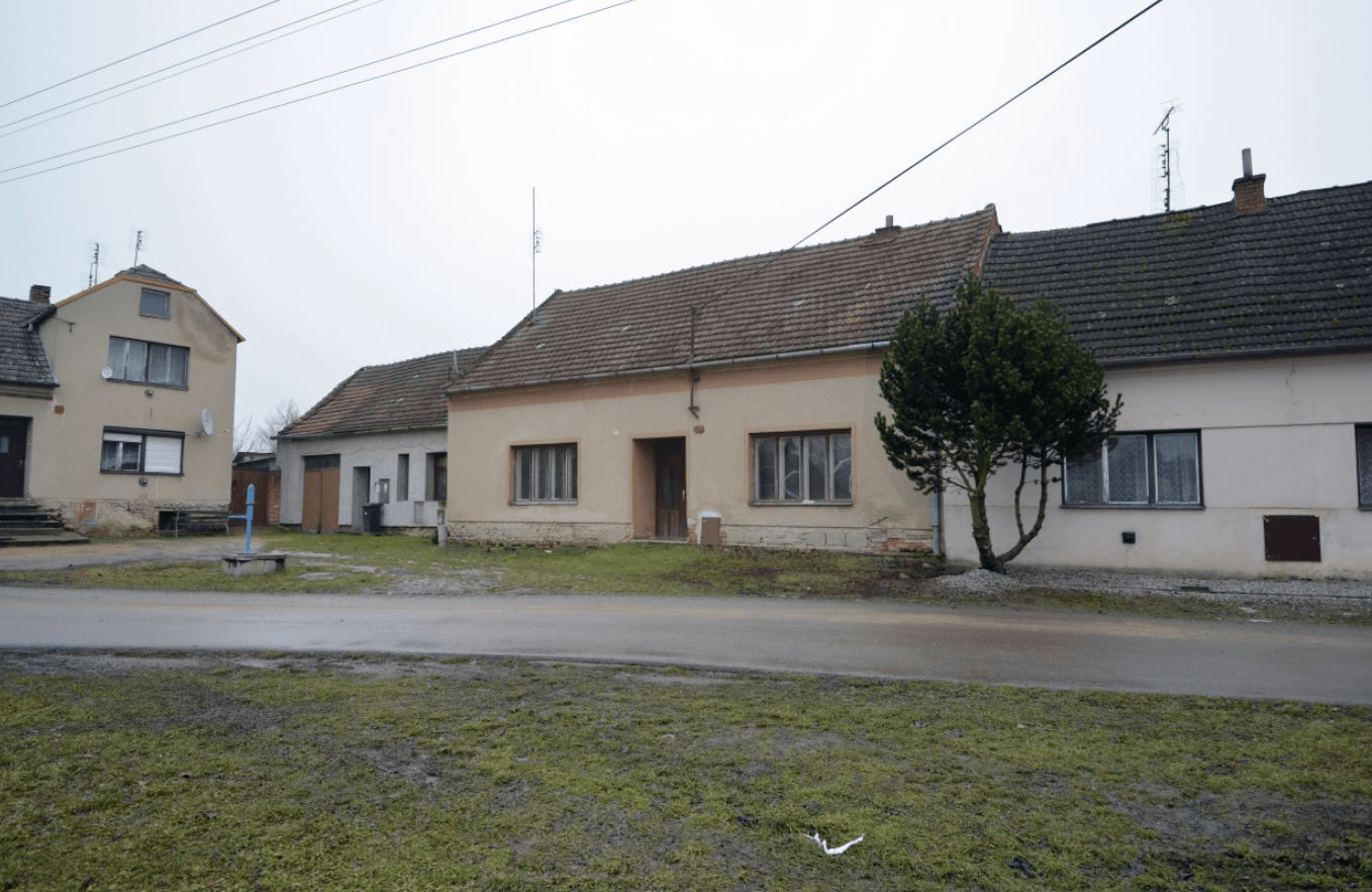 Referenční fotka 5