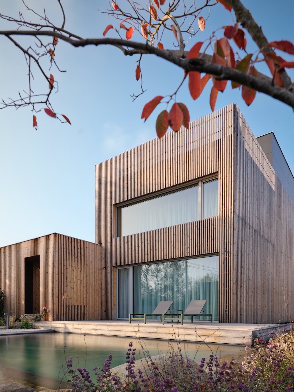 Referenční fotka 5