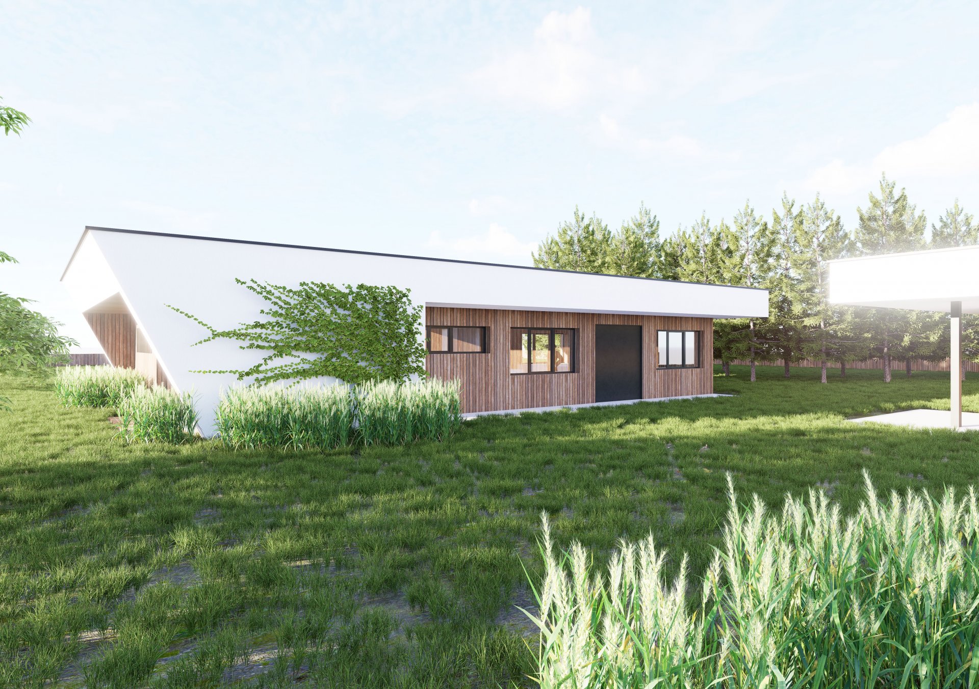 Referenční fotka 8