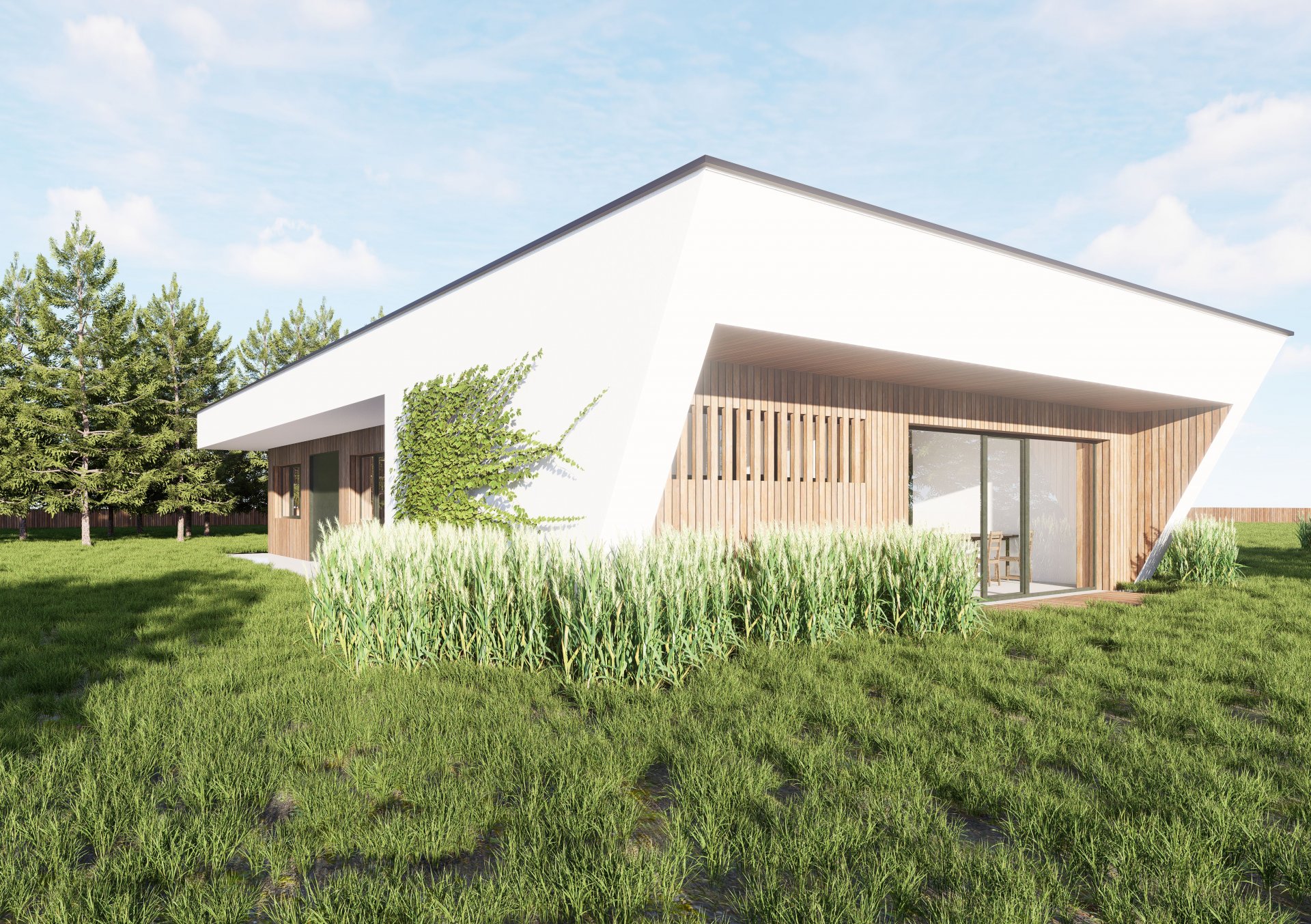 Referenční fotka 7