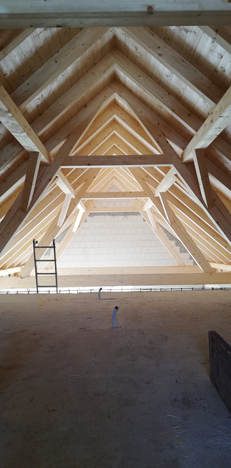 Referenční fotka 5