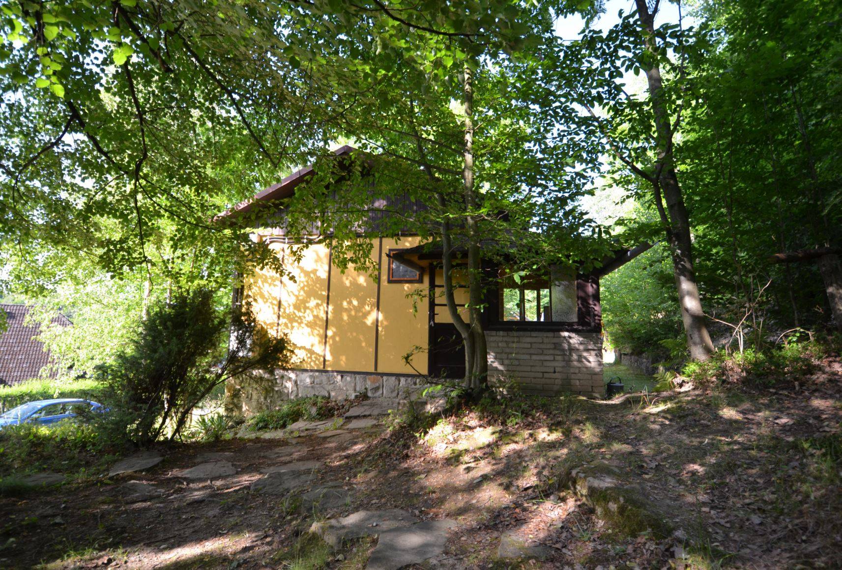 Referenční fotka 4