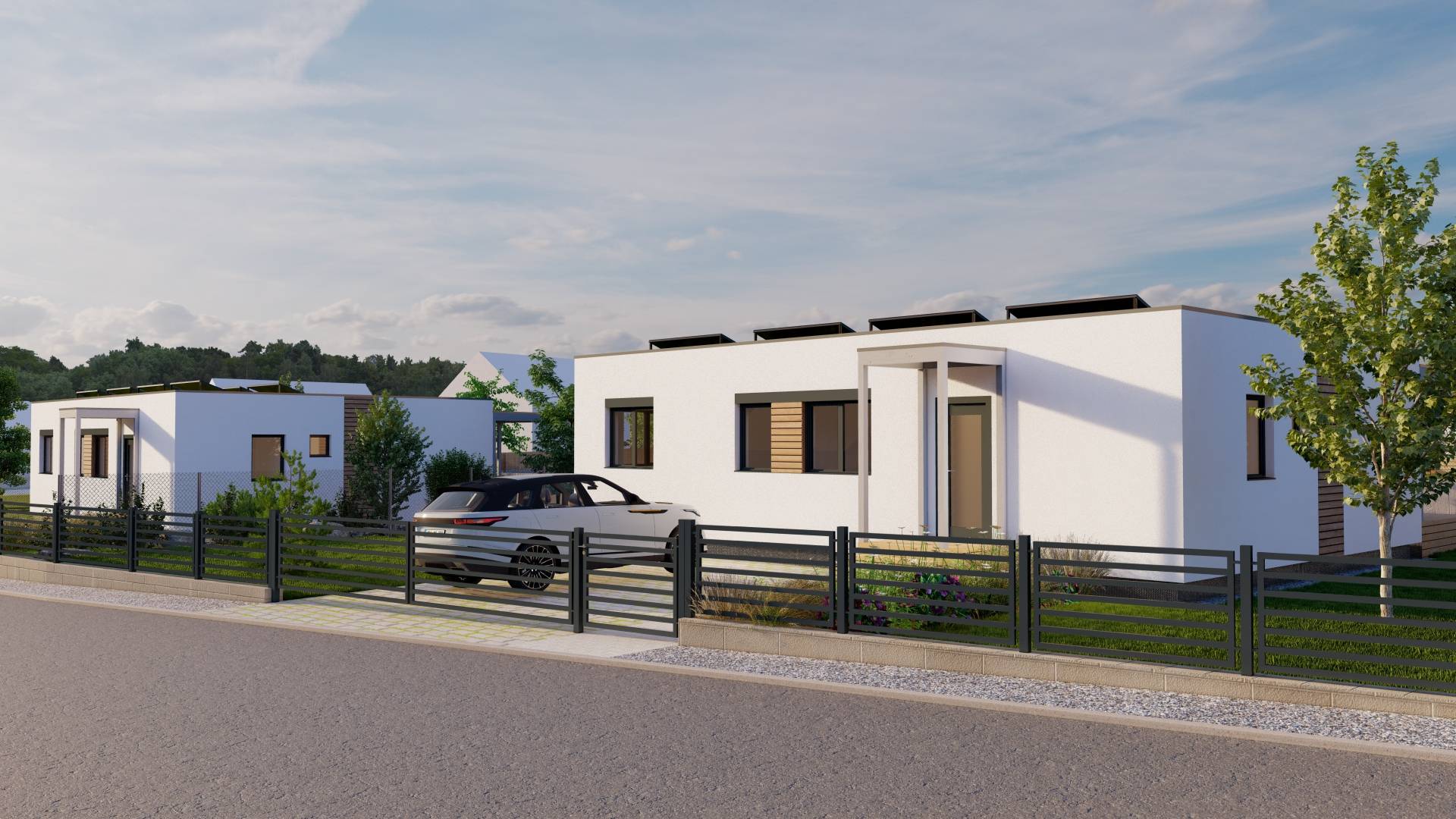 Referenční fotka 2