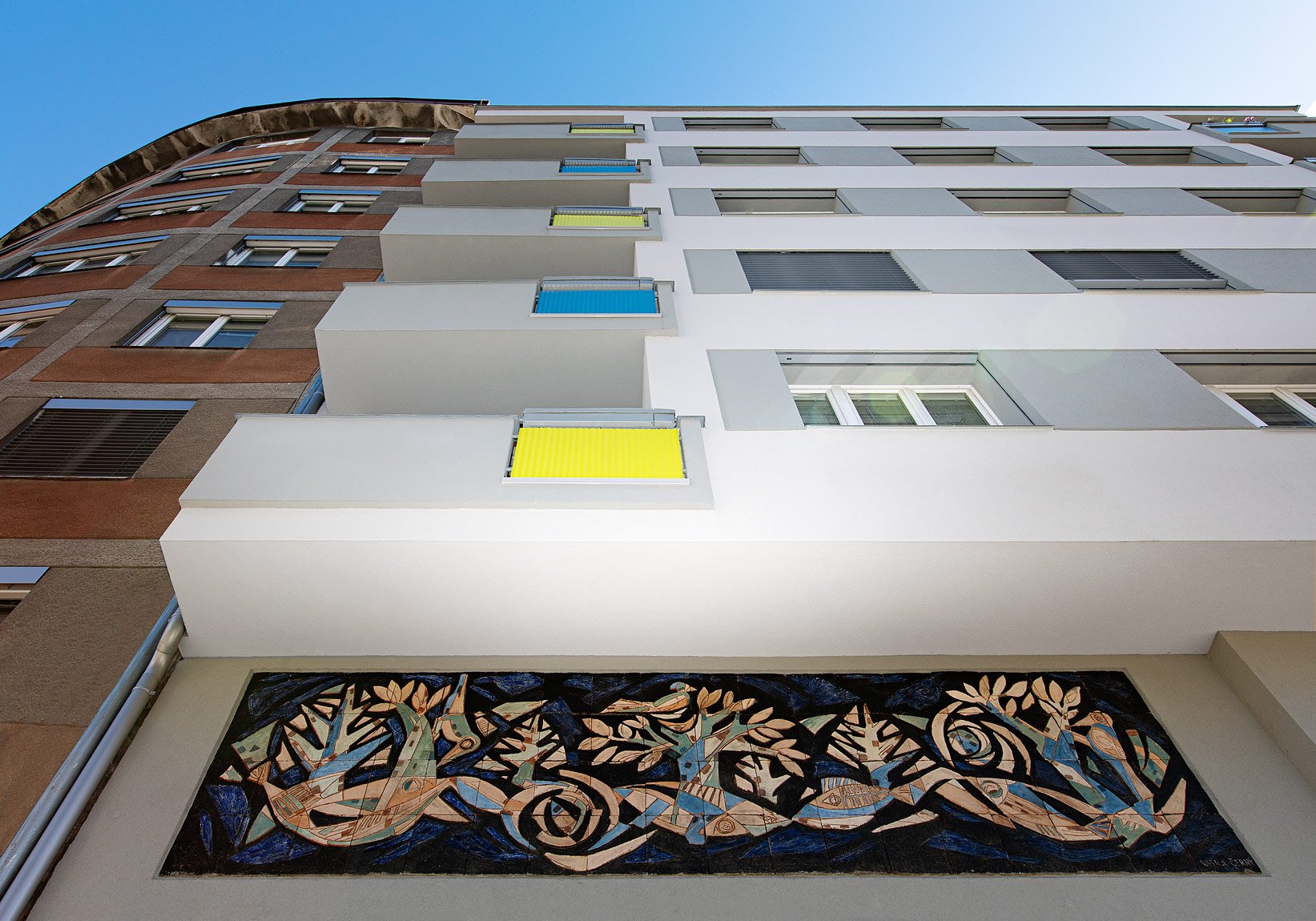 Referenční fotka 5