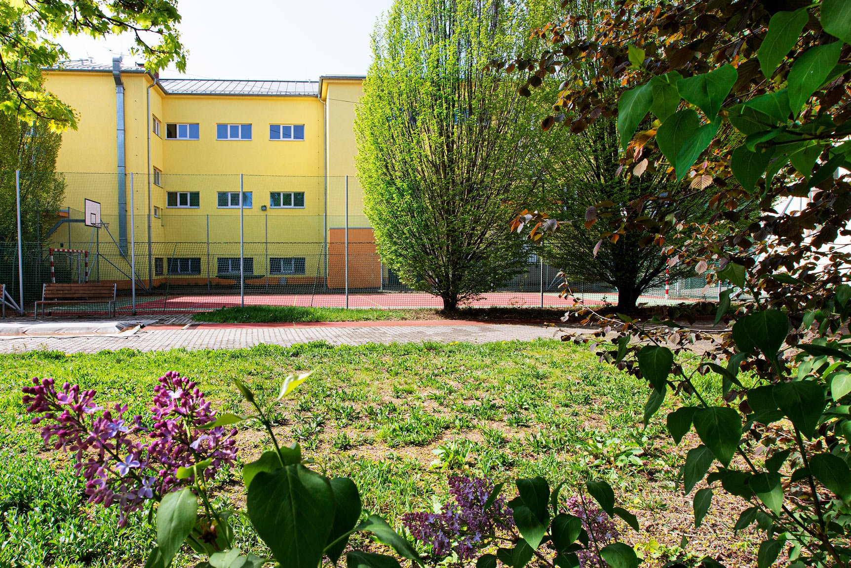 Referenční fotka 4