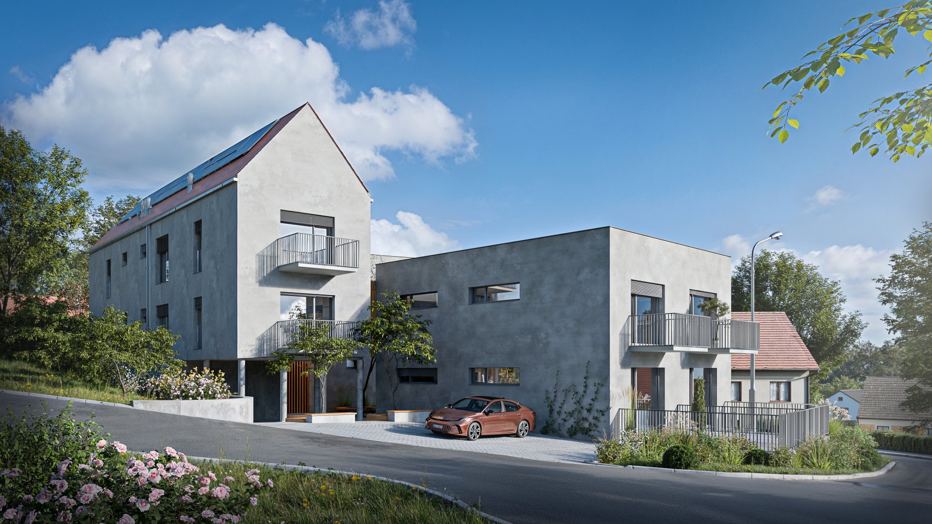 Referenční fotka 5