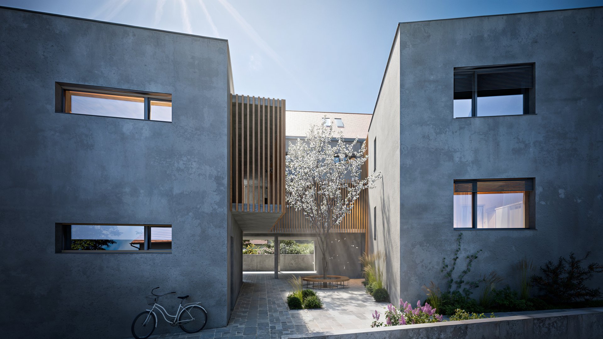 Referenční fotka 6